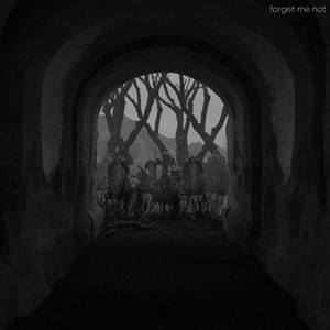 Forget Me Not cover